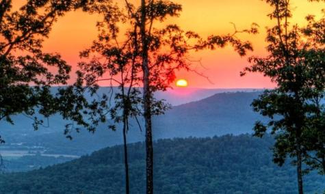 3685 Crockett Point Jasper TN 37347