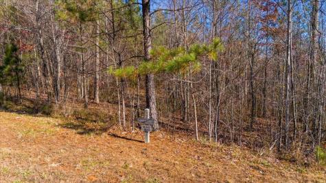 3685 Crockett Point Jasper TN 37347