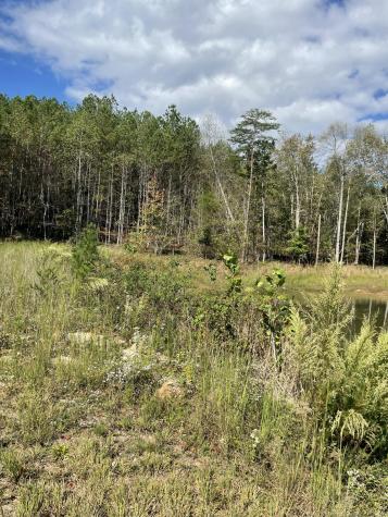 3685 Crockett Point Jasper TN 37347