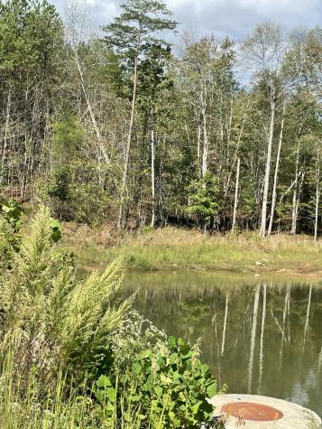 3685 Crockett Point Jasper TN 37347