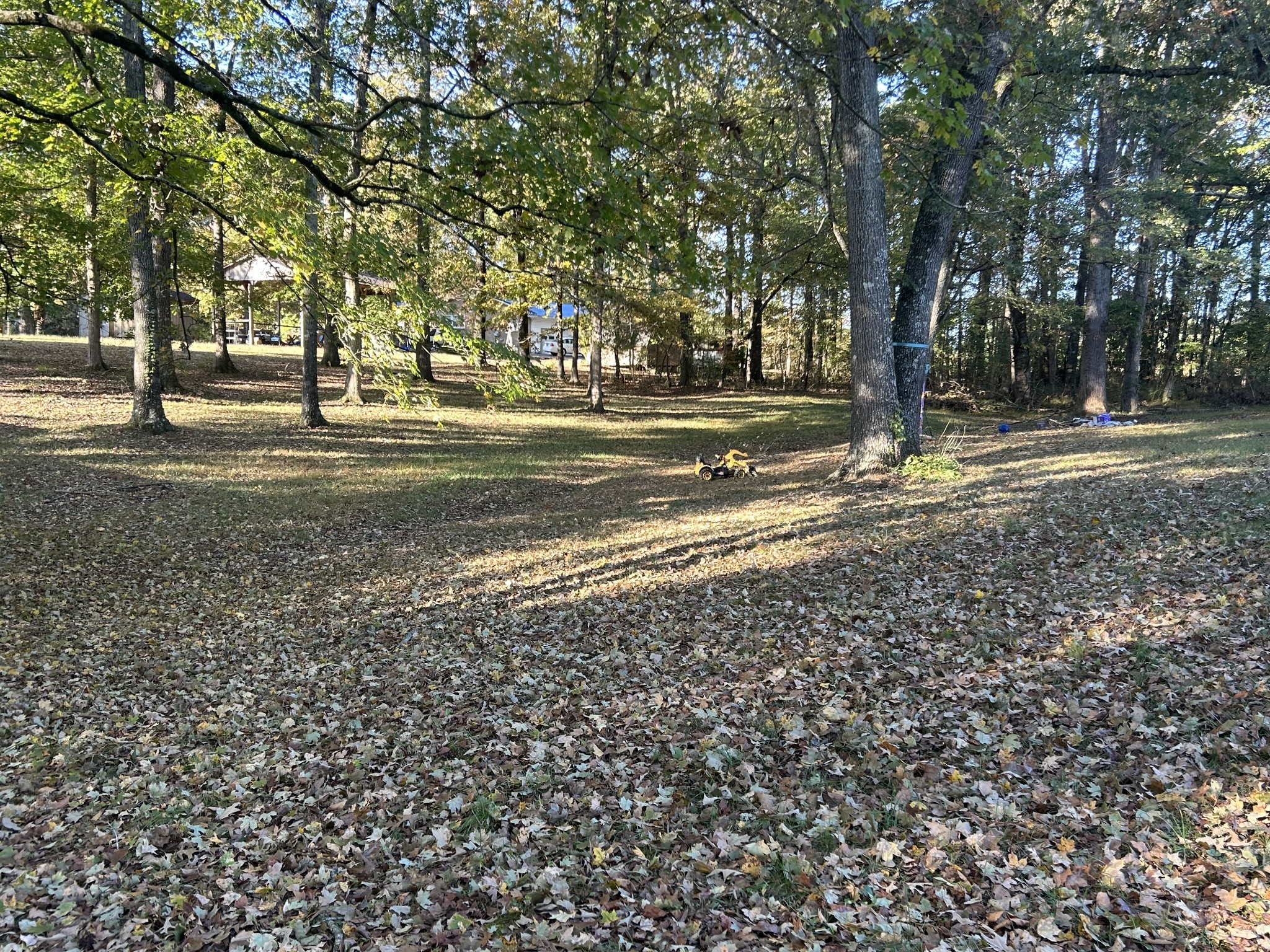 309 Stella Avenue Lawrenceburg TN 38464