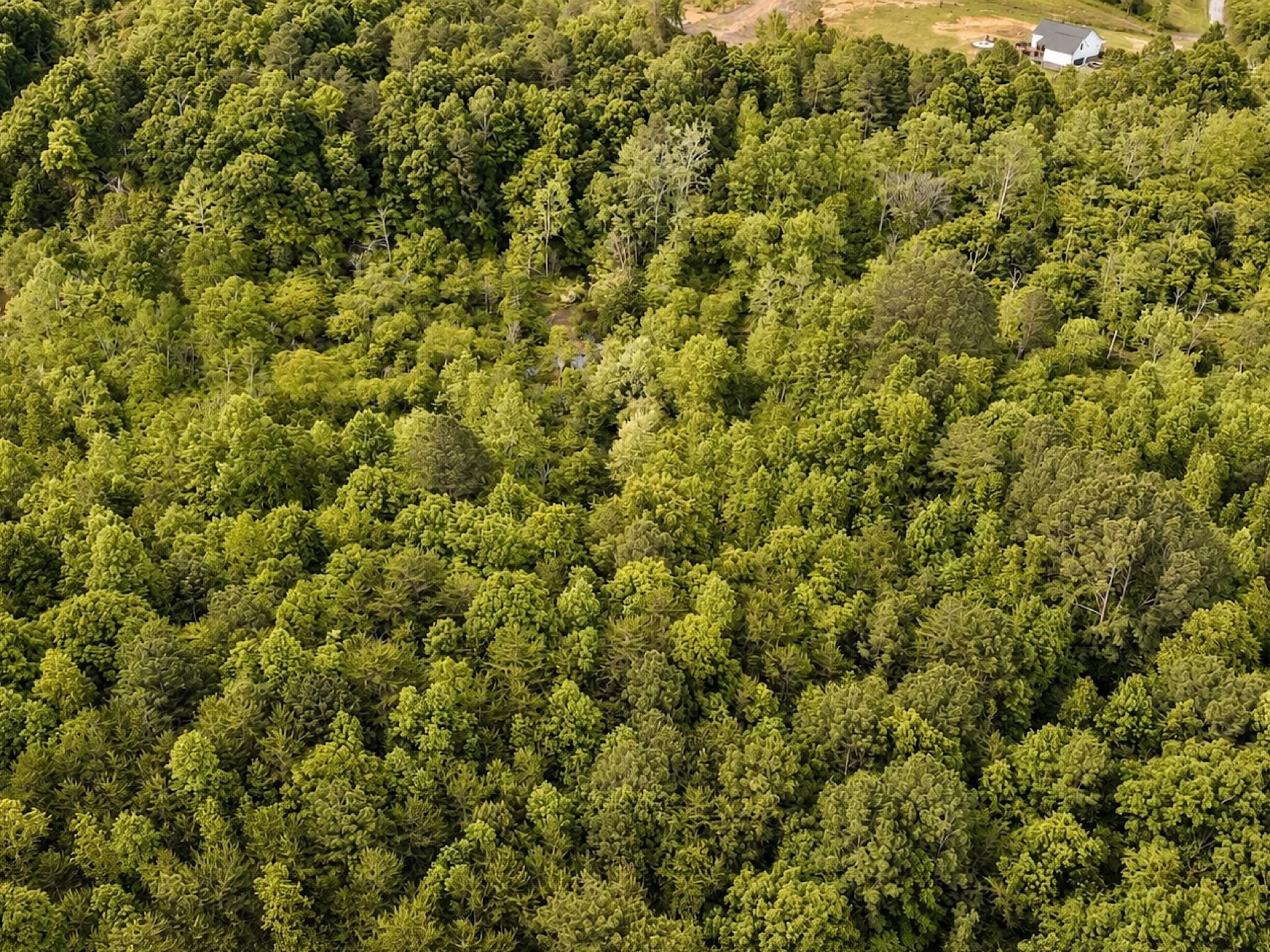 1 SE Washboard Road, SE Cleveland TN 37323