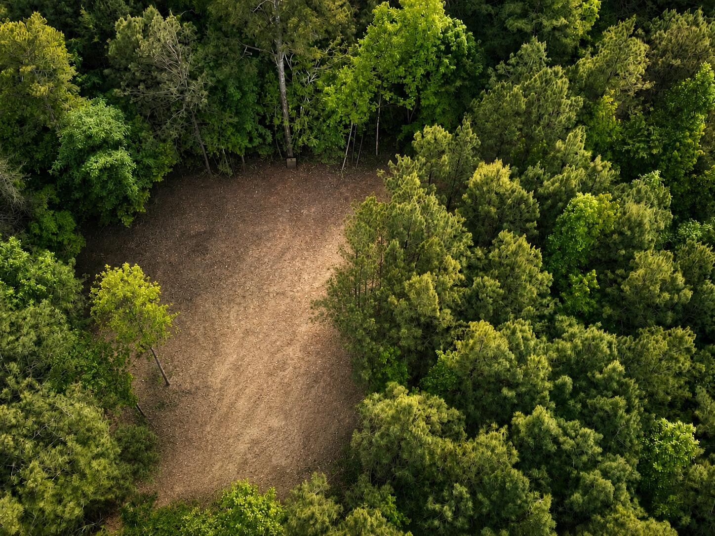 1 SE Washboard Road, SE Cleveland TN 37323