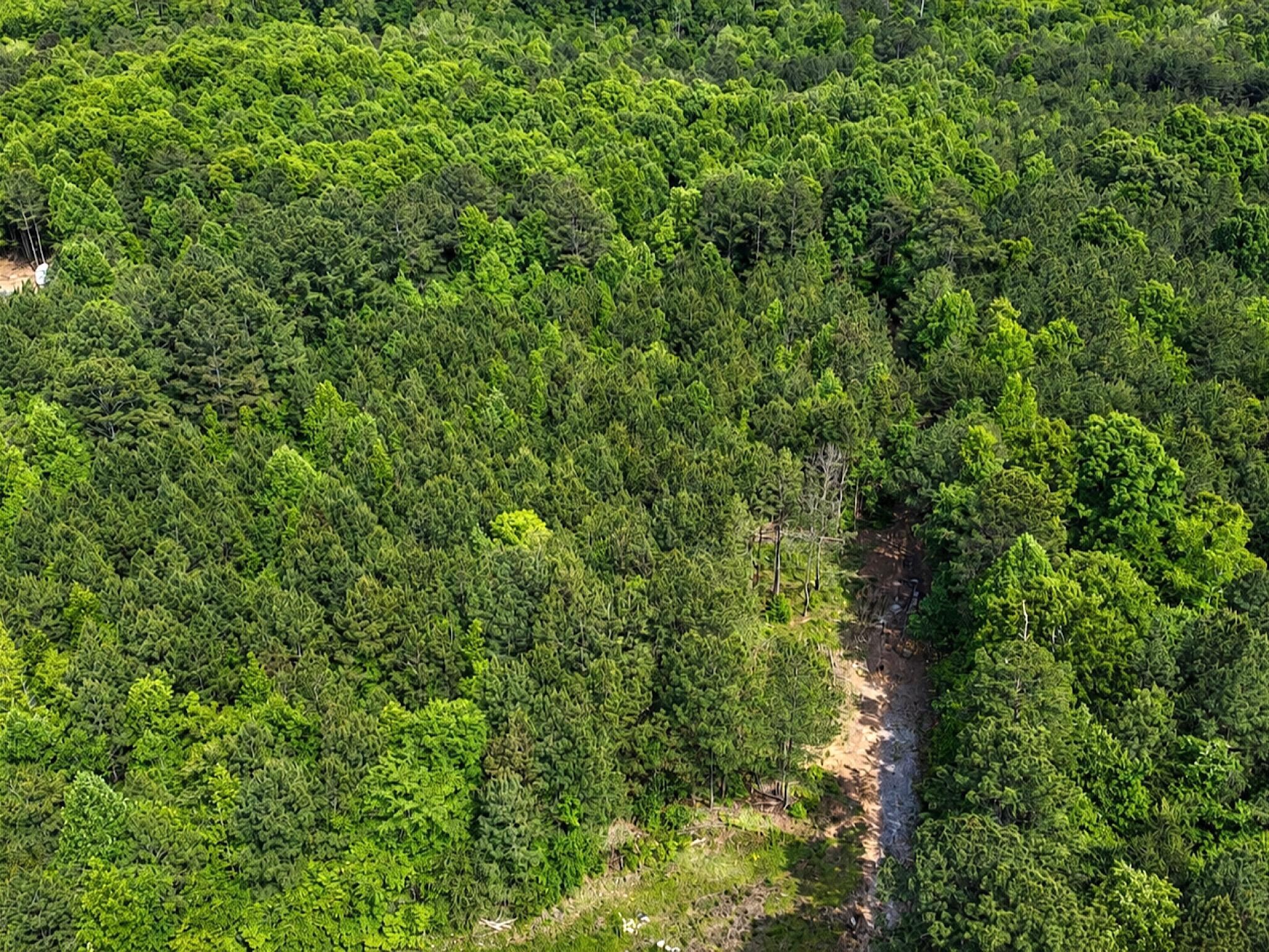 1 SE Washboard Road, SE Cleveland TN 37323