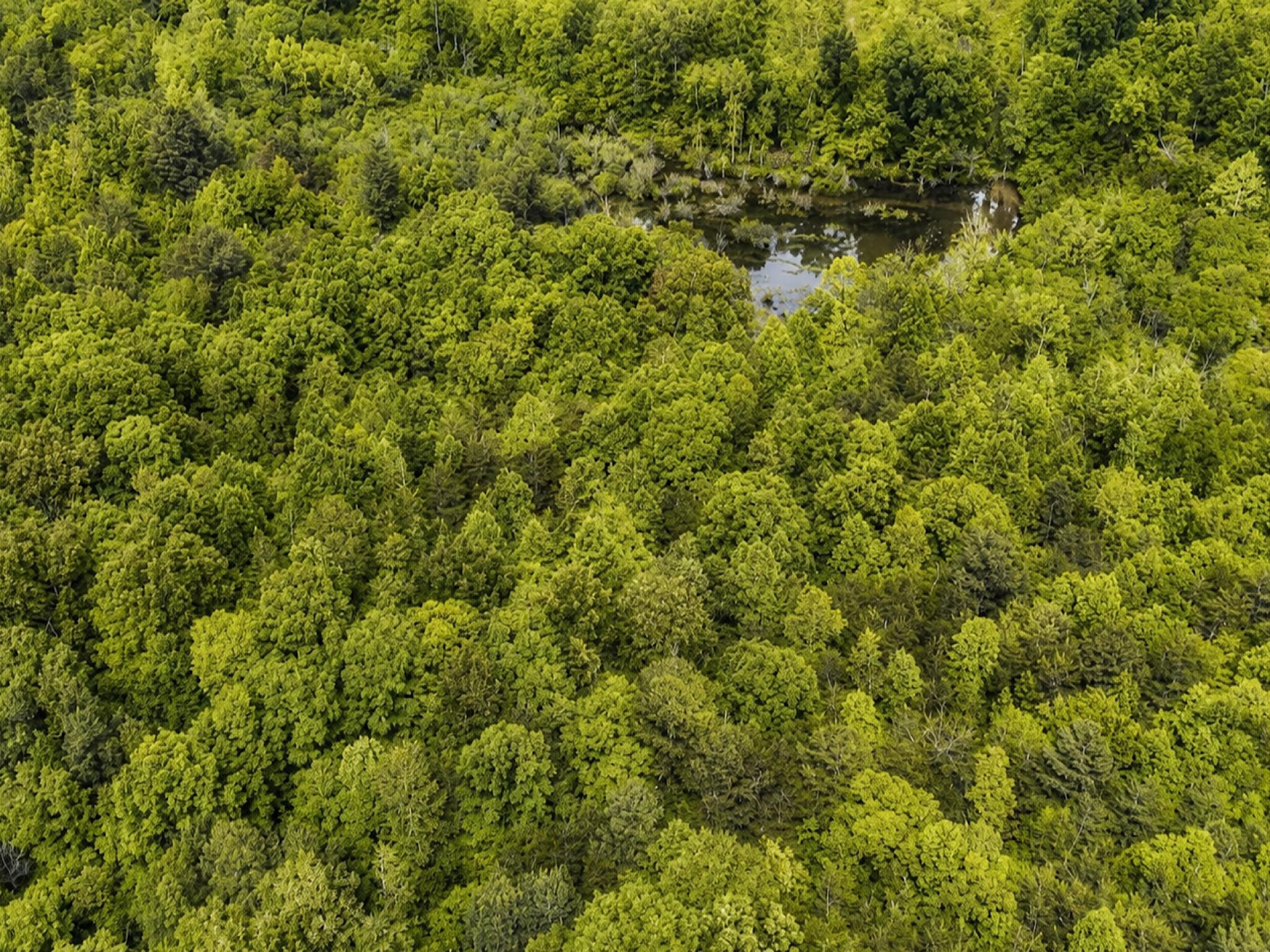 1 SE Washboard Road, SE Cleveland TN 37323