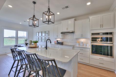 2201 Layla Lane White House TN 37188
