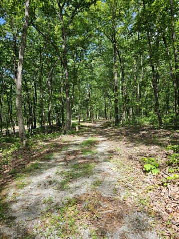 15 Valley View Drive Altamont TN 37301