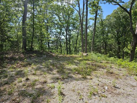 15 Valley View Drive Altamont TN 37301