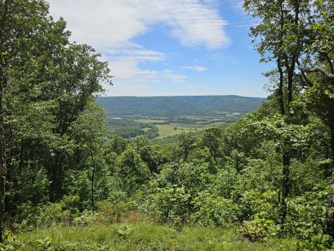 15 Valley View Drive Altamont TN 37301