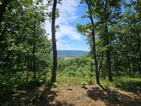 15 Valley View Drive Altamont TN 37301
