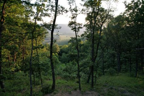15 Valley View Drive Altamont TN 37301