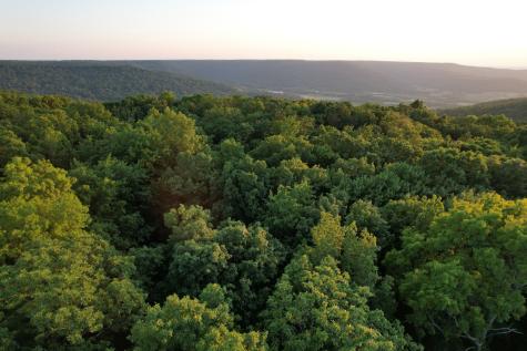 15 Valley View Drive Altamont TN 37301