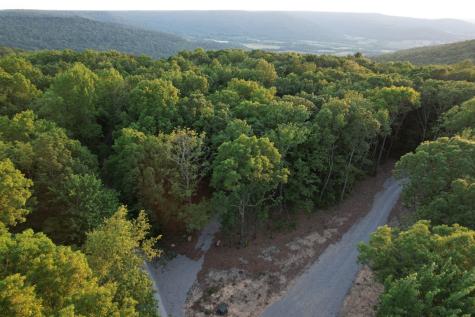 15 Valley View Drive Altamont TN 37301