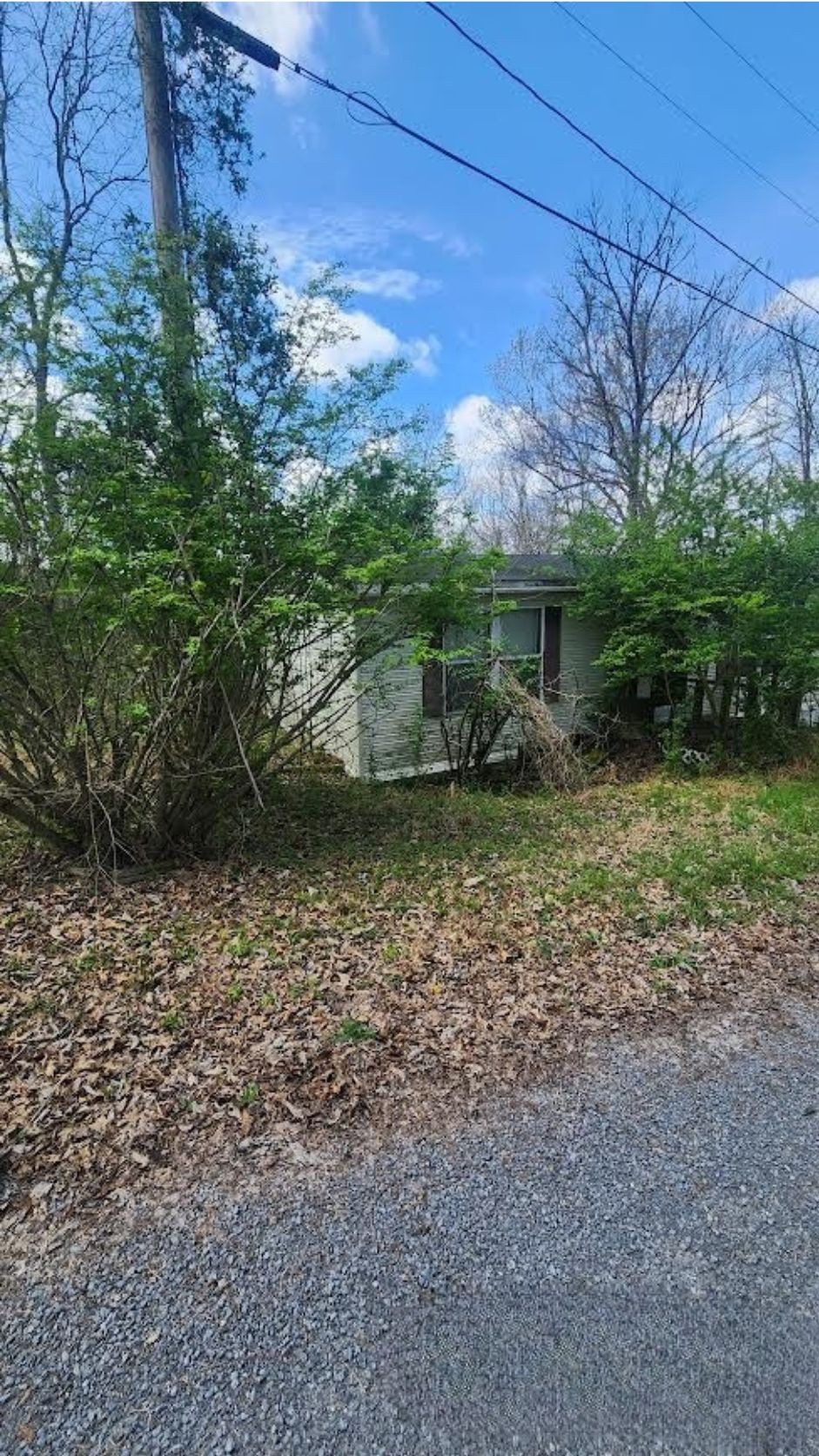 320 Hilltop Lane Gainesboro TN 38562
