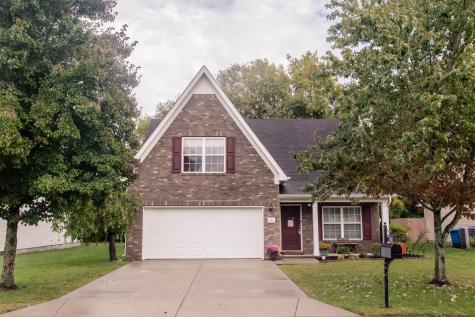 247 Neal Avenue Smyrna TN 37167