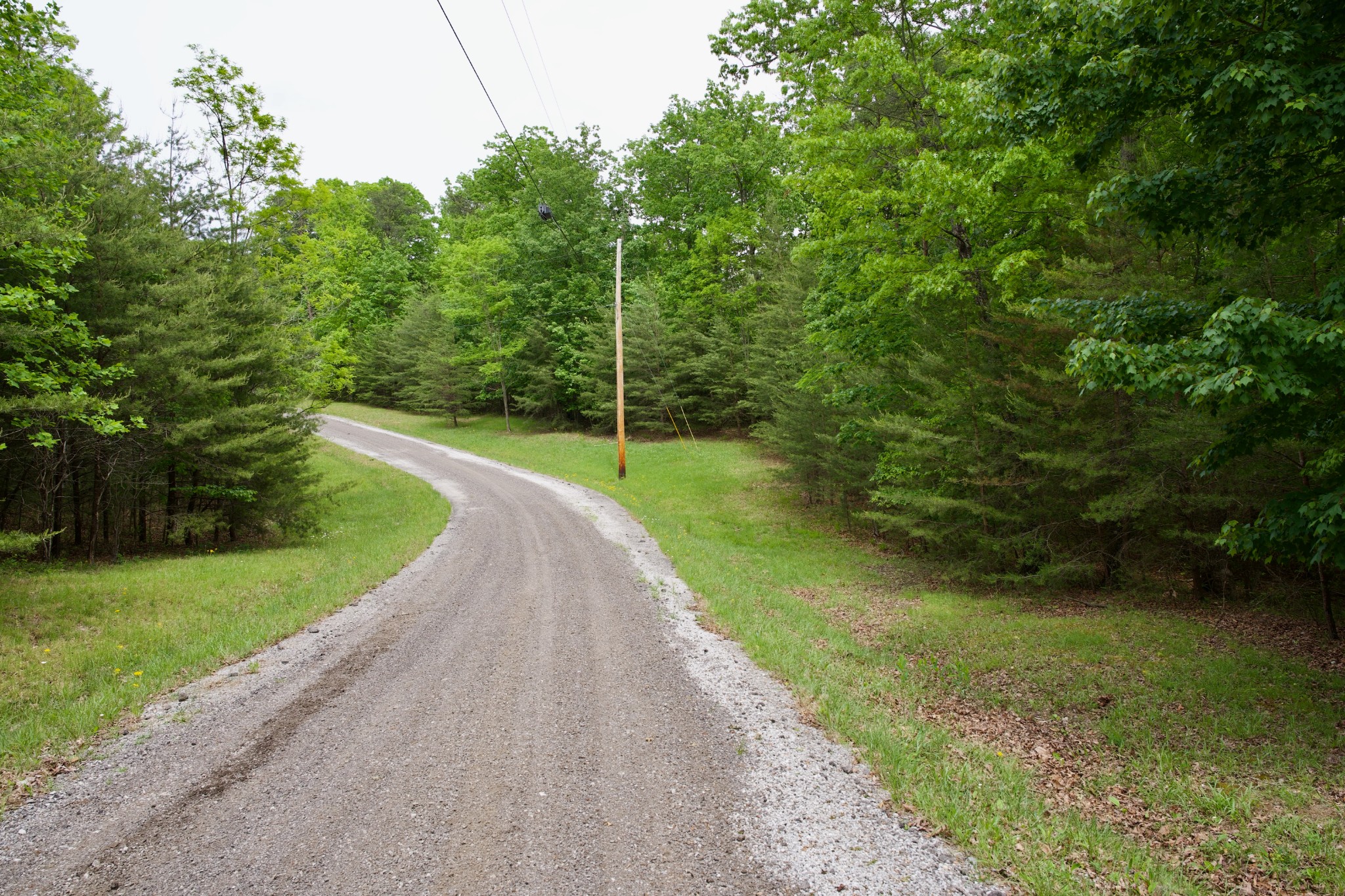 0 Coyote Trail Spencer TN 38585