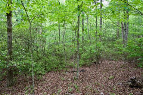 0 Coyote Trail Spencer TN 38585