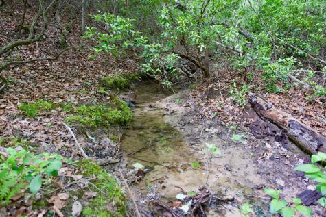 0 Coyote Trail Spencer TN 38585