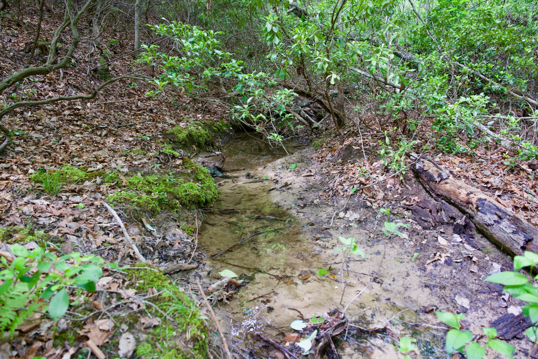 0 Coyote Trail Spencer TN 38585