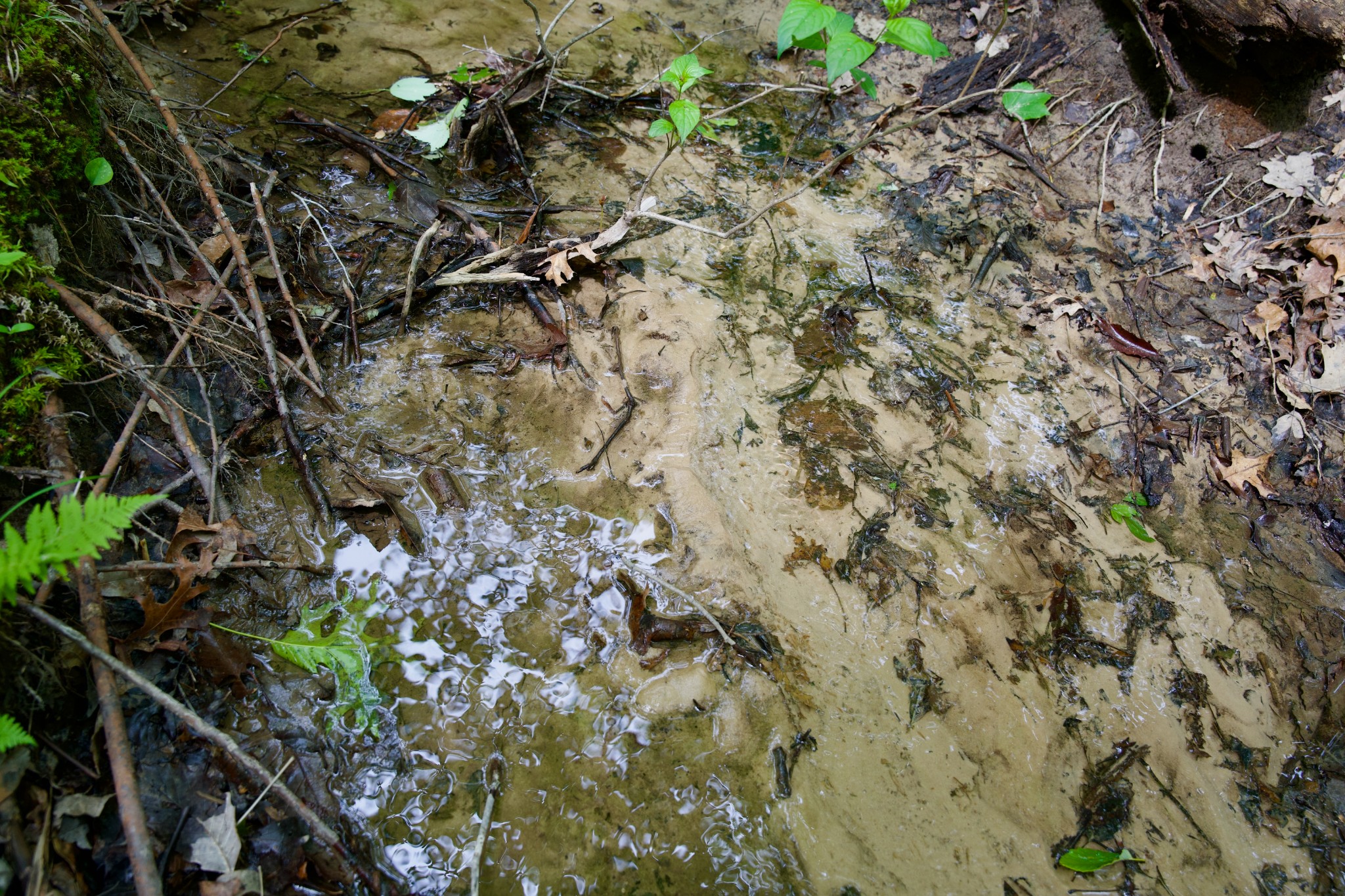 0 Coyote Trail Spencer TN 38585
