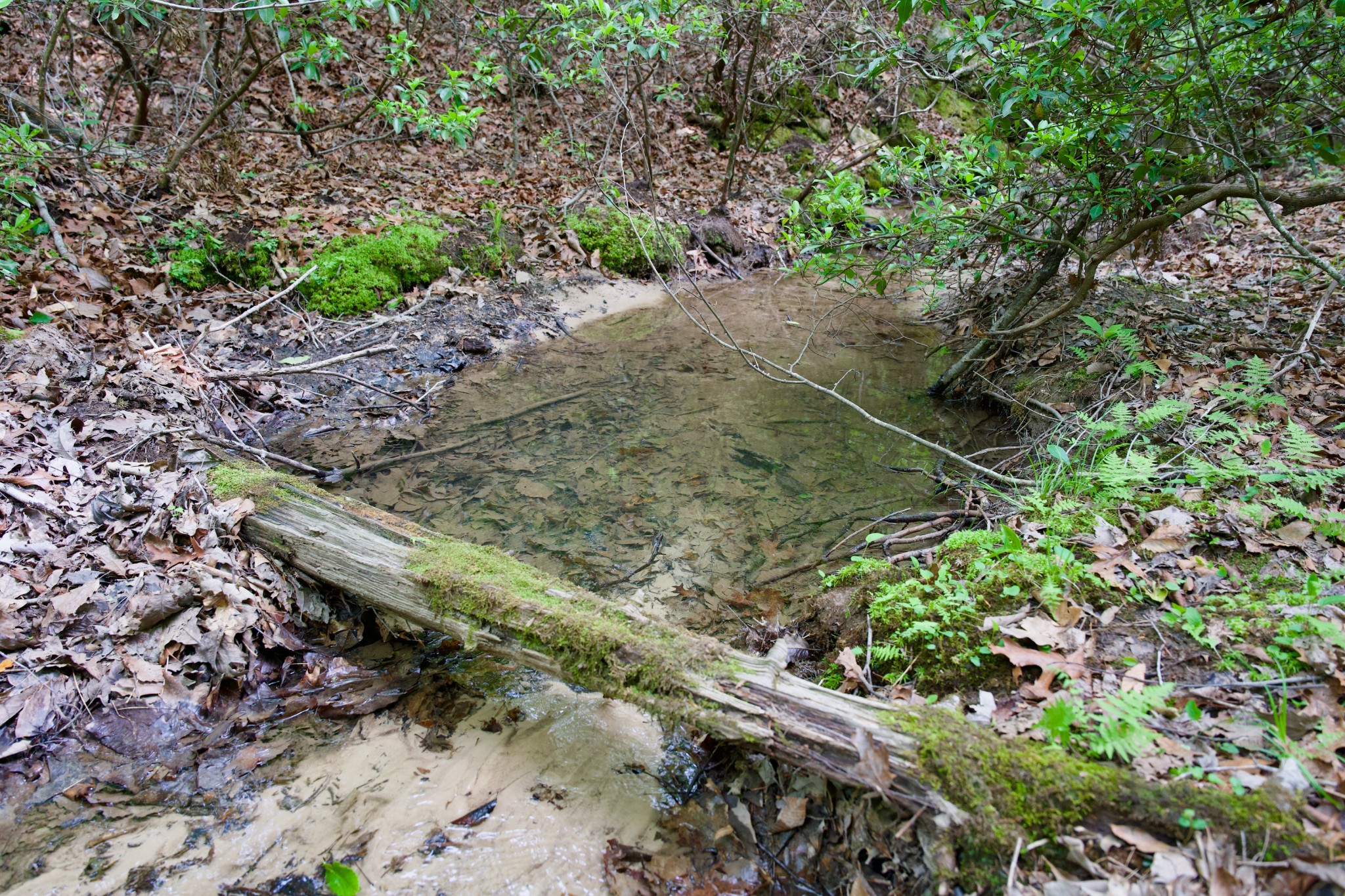 0 Coyote Trail Spencer TN 38585
