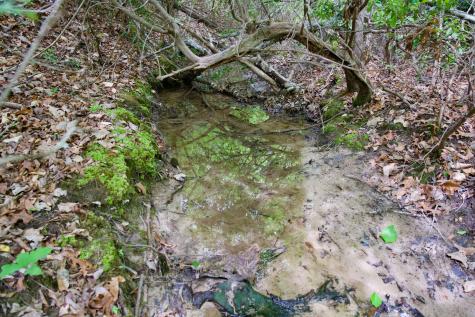 0 Coyote Trail Spencer TN 38585