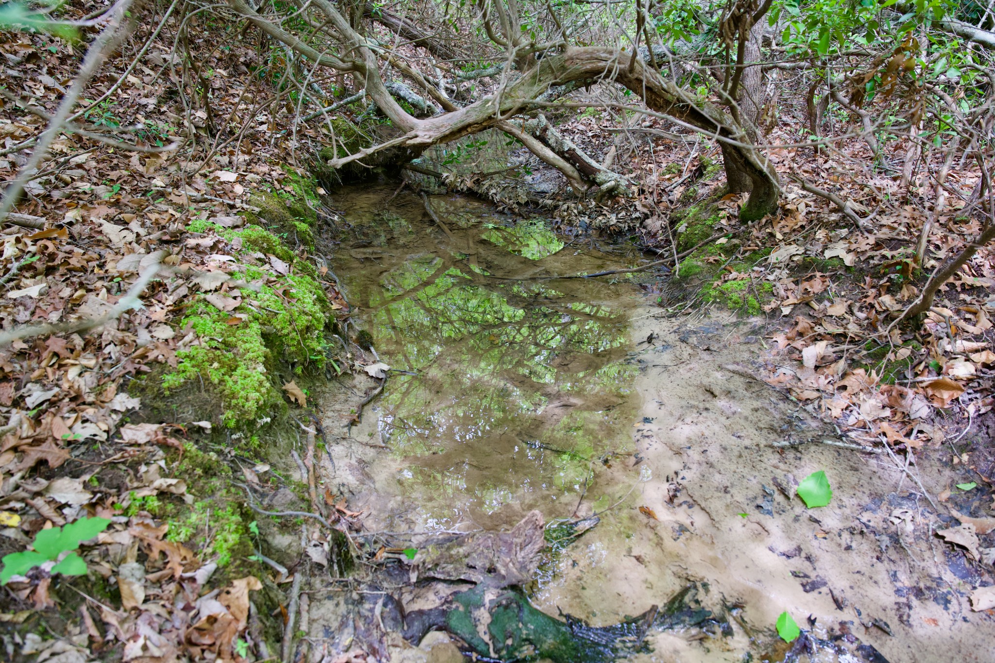 0 Coyote Trail Spencer TN 38585