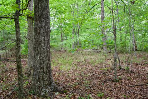 0 Coyote Trail Spencer TN 38585