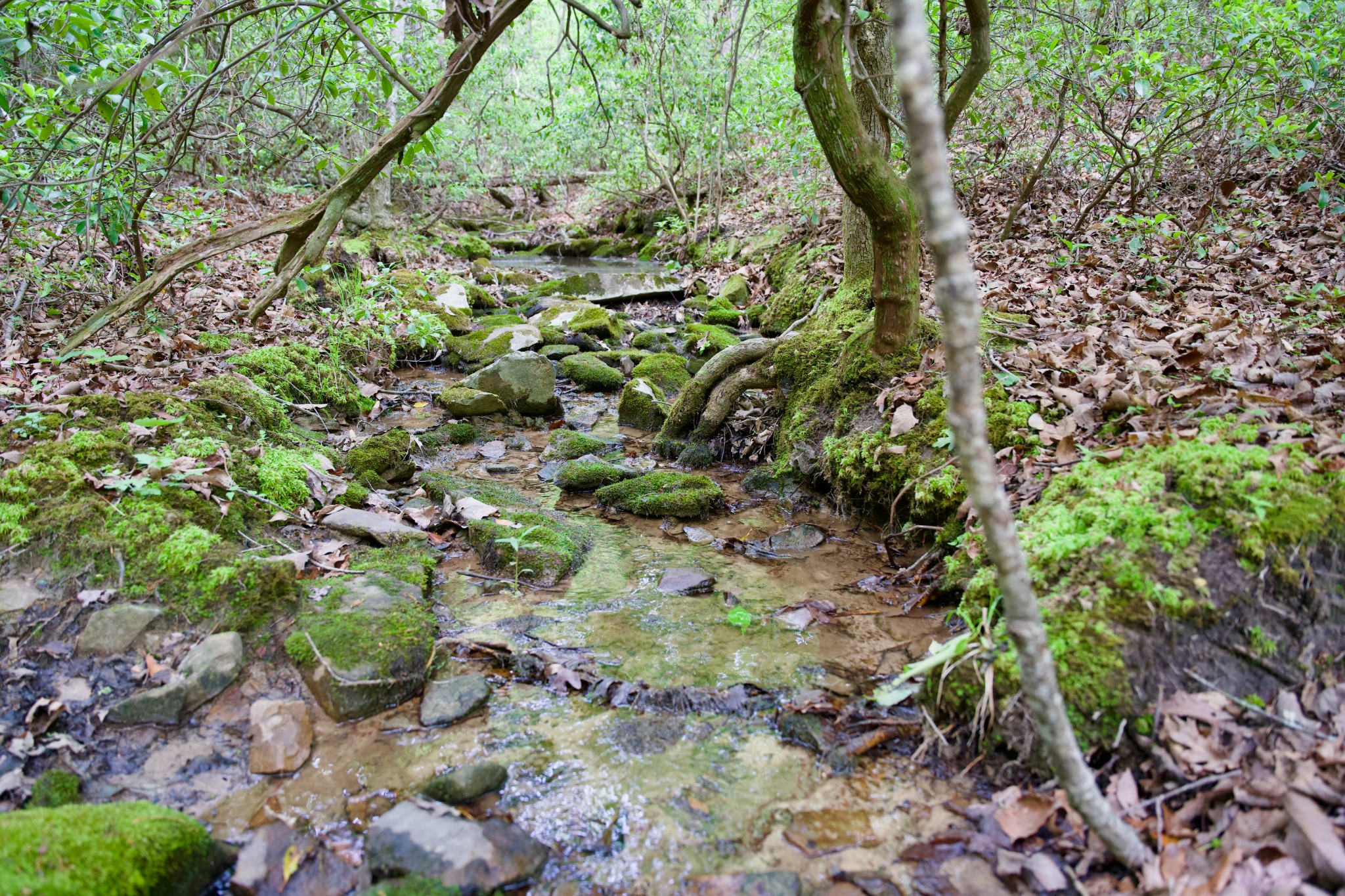 0 Coyote Trail Spencer TN 38585