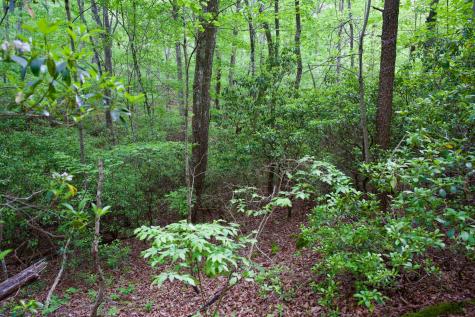 0 Coyote Trail Spencer TN 38585