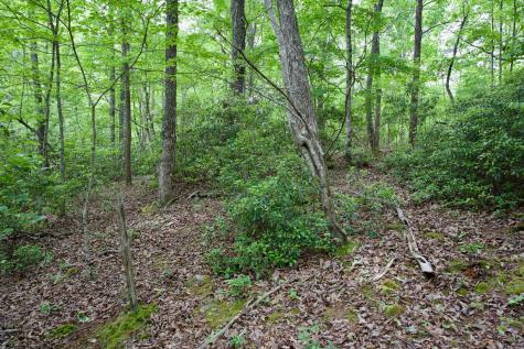 0 Coyote Trail Spencer TN 38585