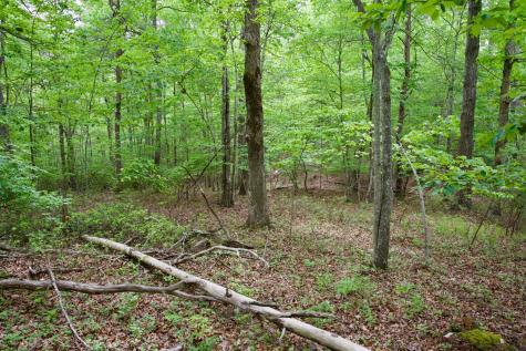 0 Coyote Trail Spencer TN 38585