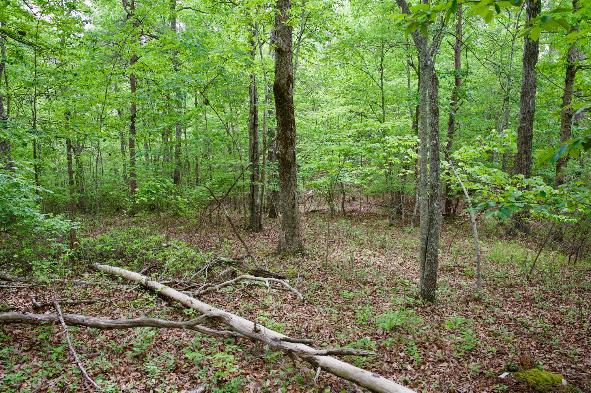 0 Coyote Trail Spencer TN 38585