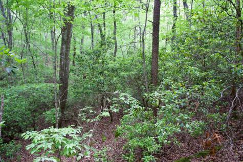 0 Coyote Trail Spencer TN 38585