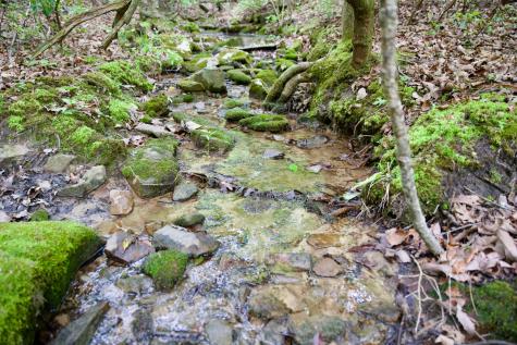 0 Coyote Trail Spencer TN 38585
