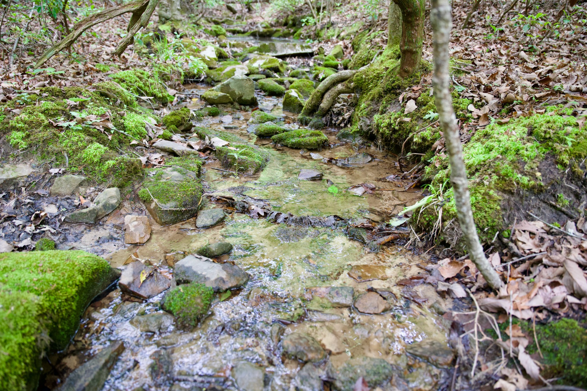 0 Coyote Trail Spencer TN 38585