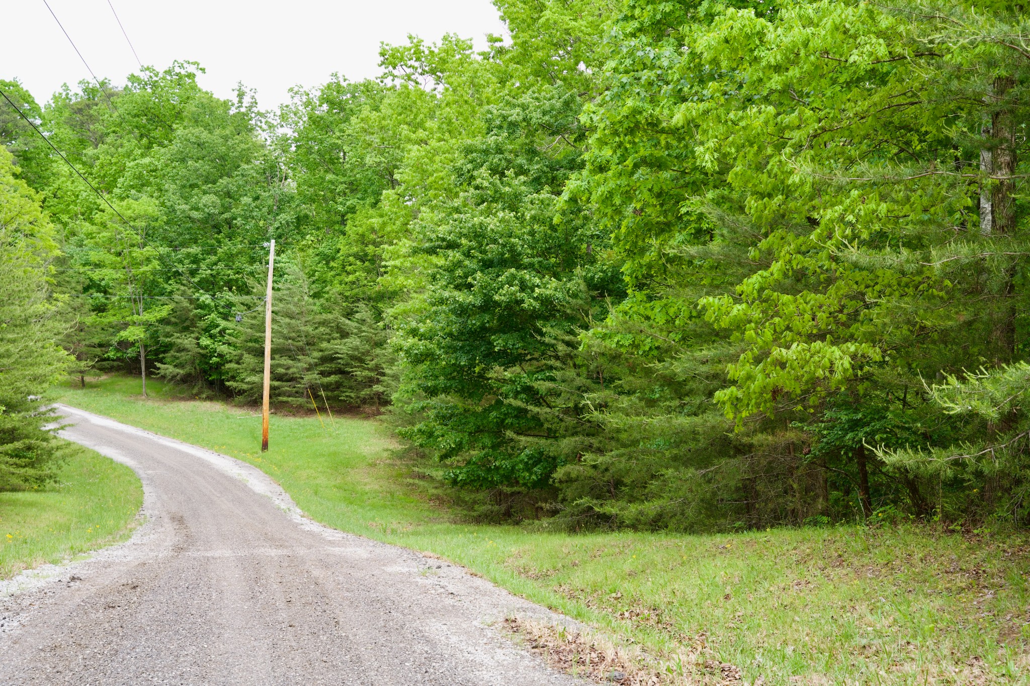 0 Coyote Trail Spencer TN 38585
