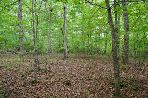 0 Coyote Trail Spencer TN 38585