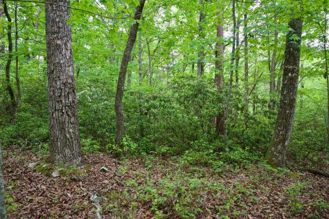 0 Coyote Trail Spencer TN 38585
