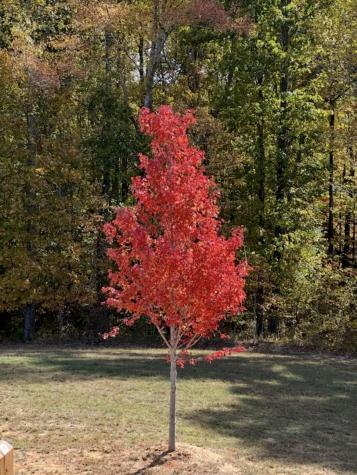 636 Raulston Falls Road Jasper TN 37347