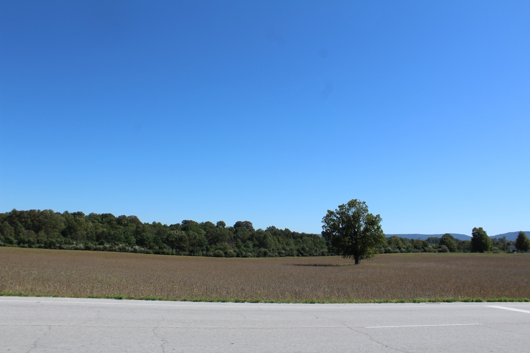 0 Old Wells Road Morrison TN 37357