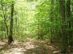 0 Boulder Lake Road Coalmont TN 37313