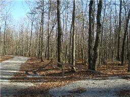 0 Boulder Lake Road Coalmont TN 37313