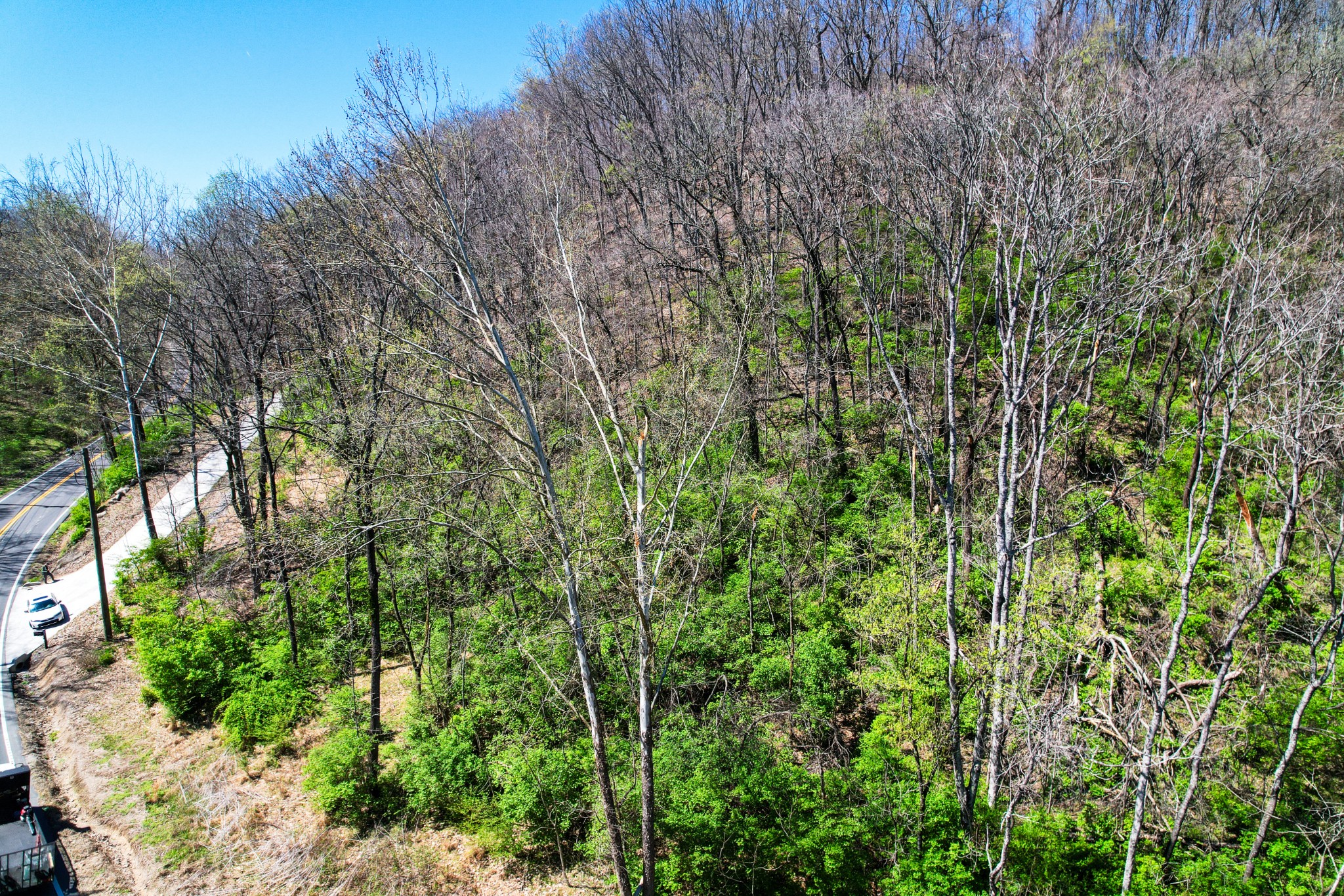 0 River Road Pike Nashville TN 37209