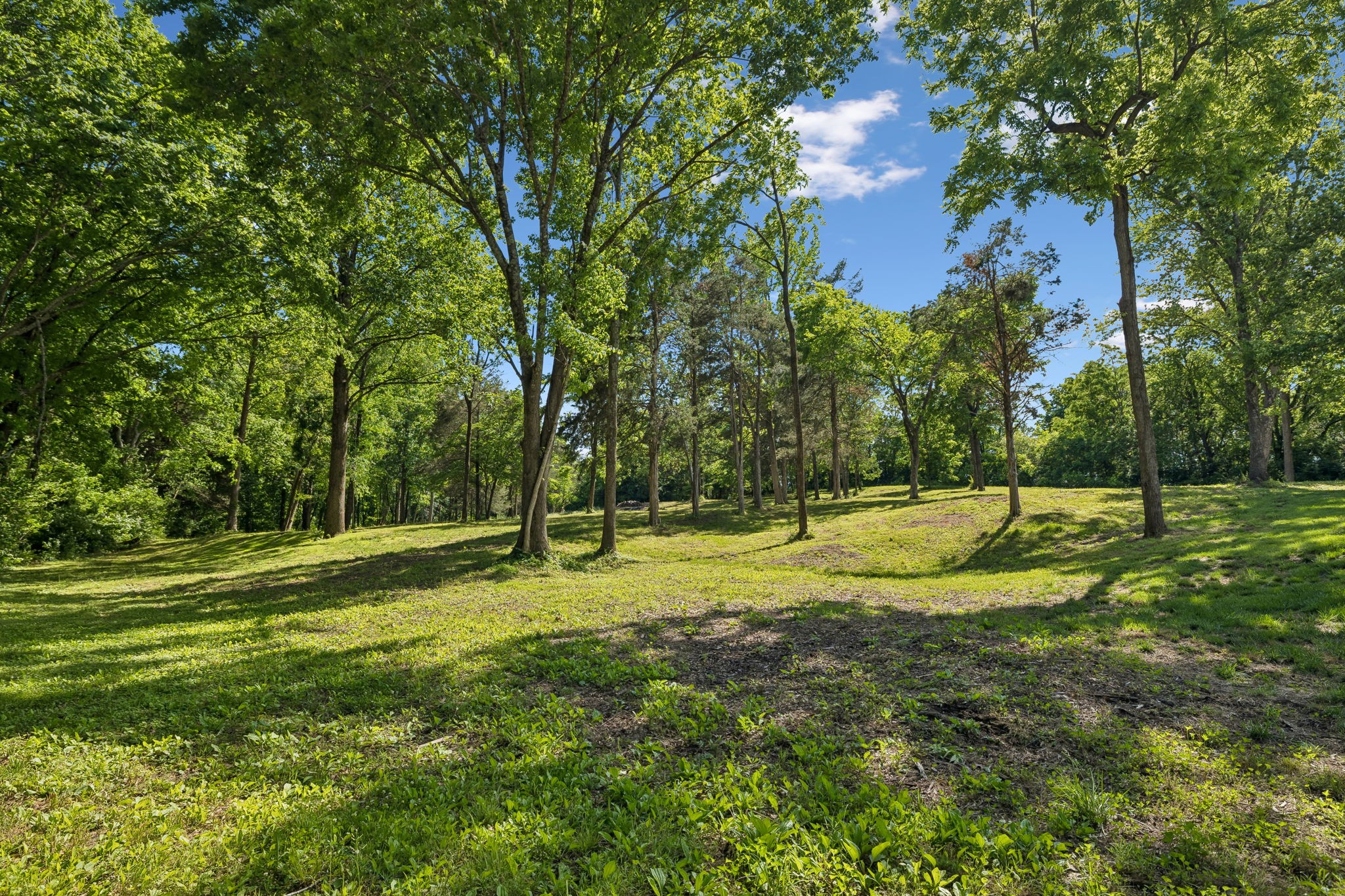 6008 Costello Farm Lane Thompsons Station TN 37179