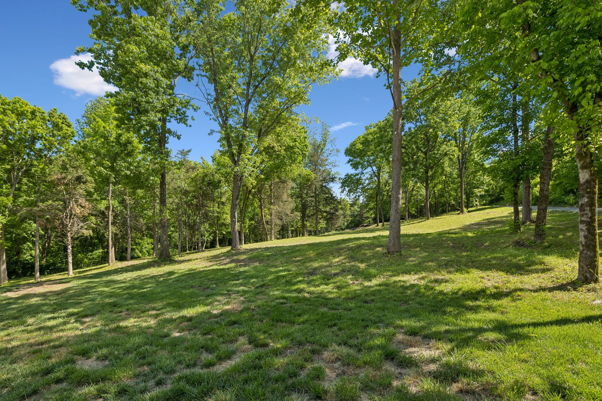 6008 Costello Farm Lane Thompsons Station TN 37179