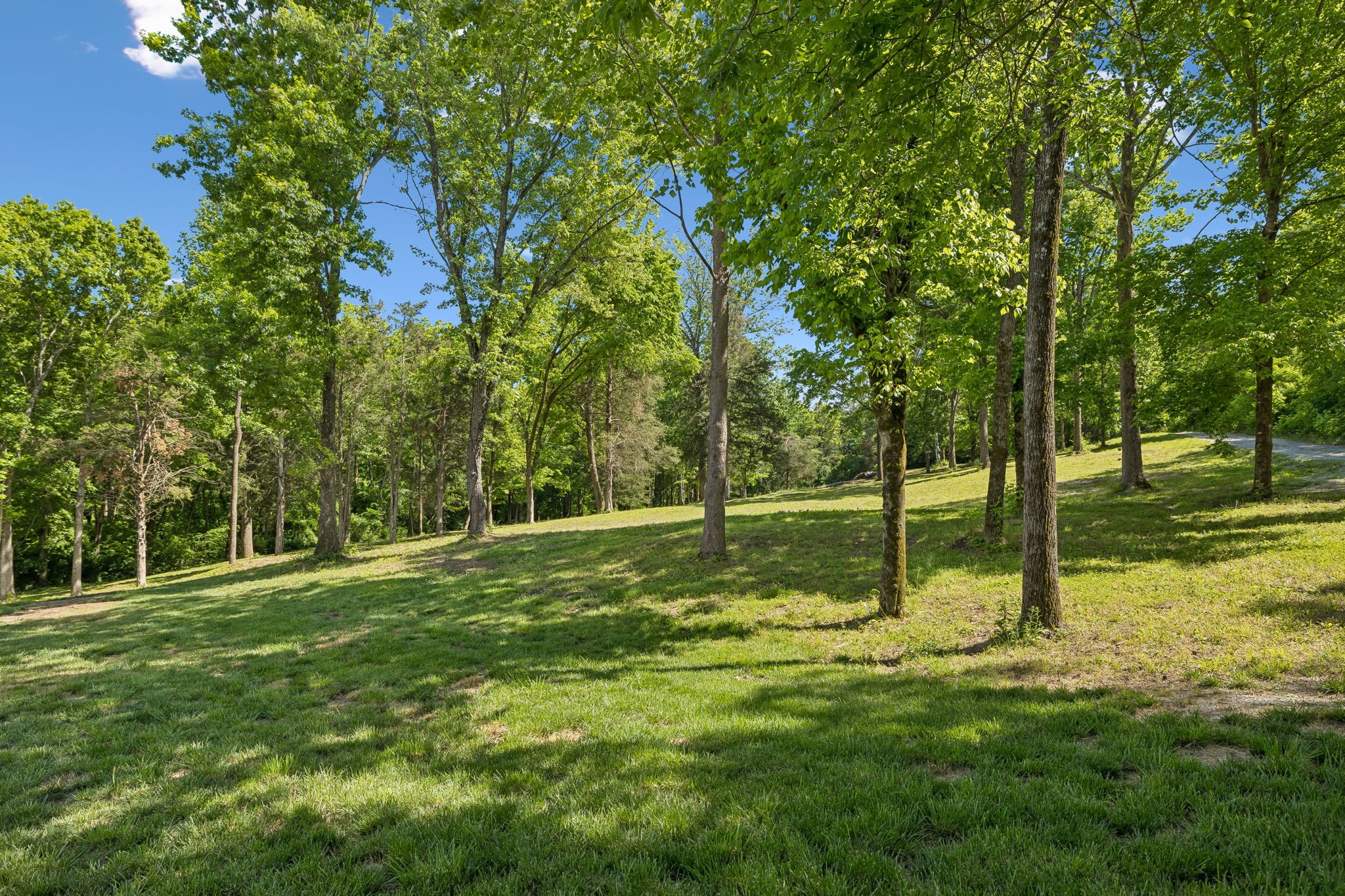 6008 Costello Farm Lane Thompsons Station TN 37179