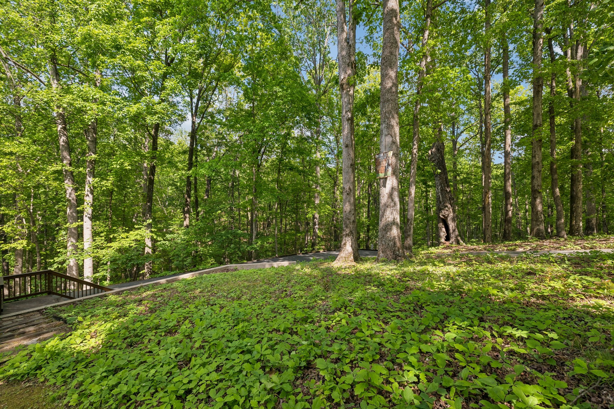 5717 Old 96 Franklin TN 37064