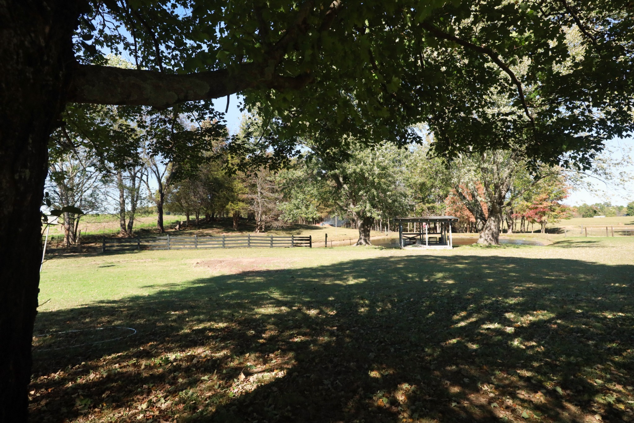 12354 Owens Chapel Road Springfield TN 37172