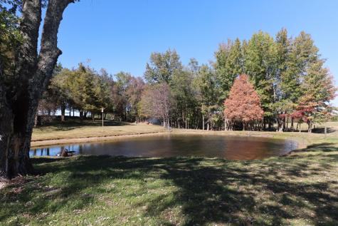 12354 Owens Chapel Road Springfield TN 37172